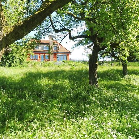Kleine Villa Im Wilden Garten Γκούμερσμπαχ Εξωτερικό φωτογραφία