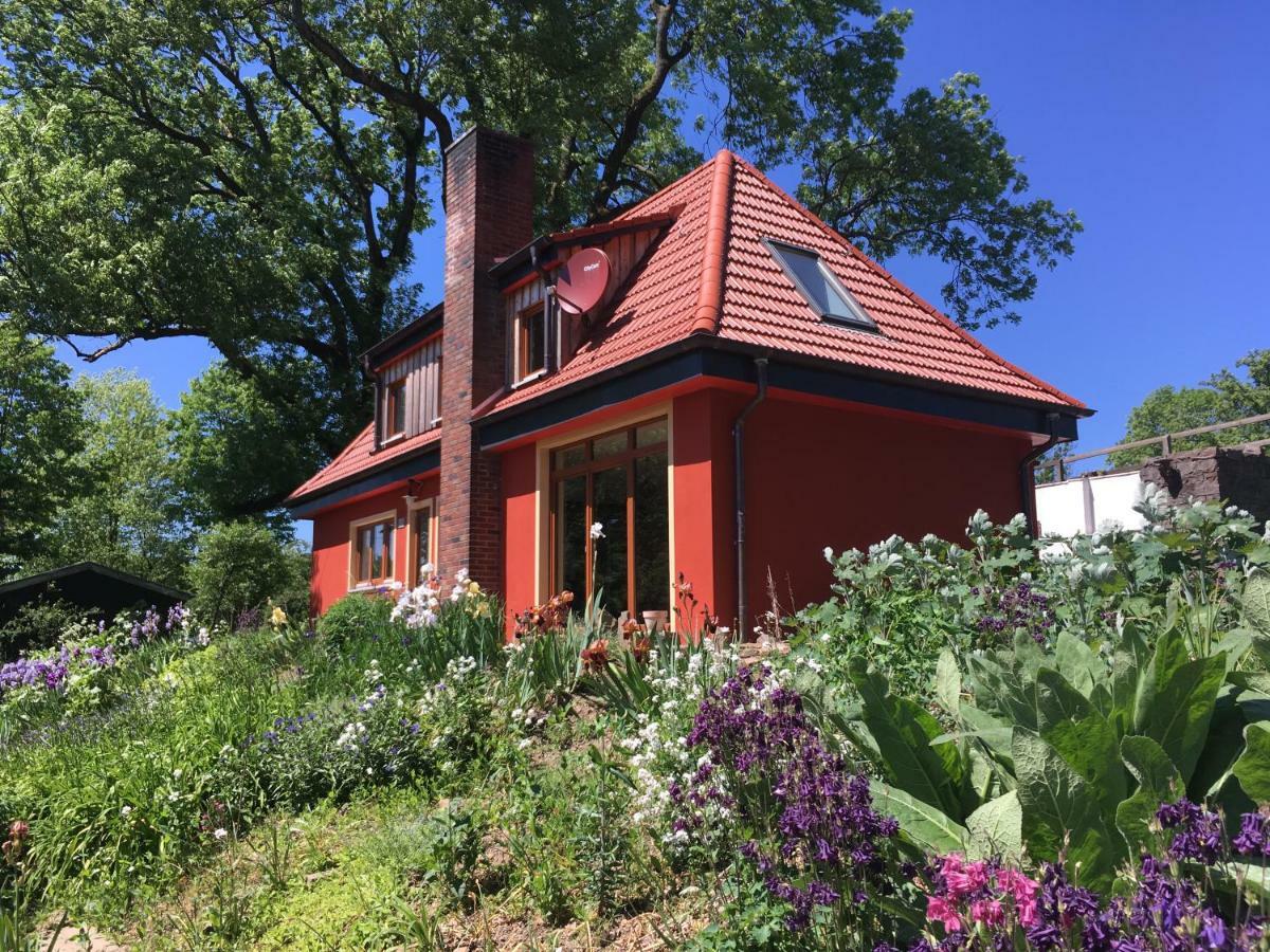 Kleine Villa Im Wilden Garten Γκούμερσμπαχ Εξωτερικό φωτογραφία