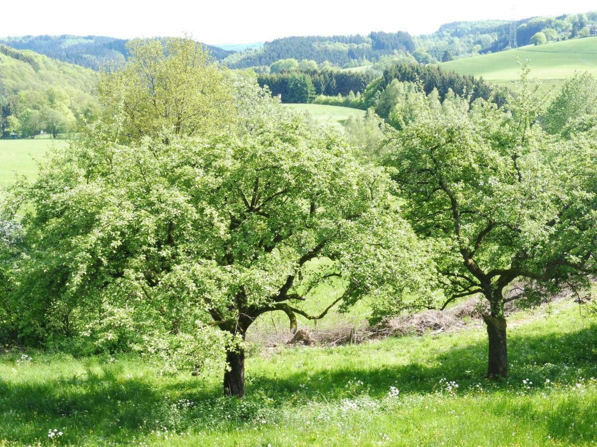 Kleine Villa Im Wilden Garten Γκούμερσμπαχ Εξωτερικό φωτογραφία