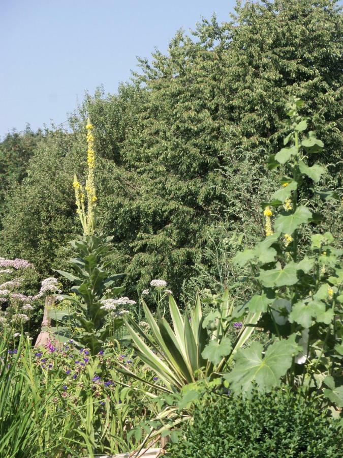 Kleine Villa Im Wilden Garten Γκούμερσμπαχ Εξωτερικό φωτογραφία