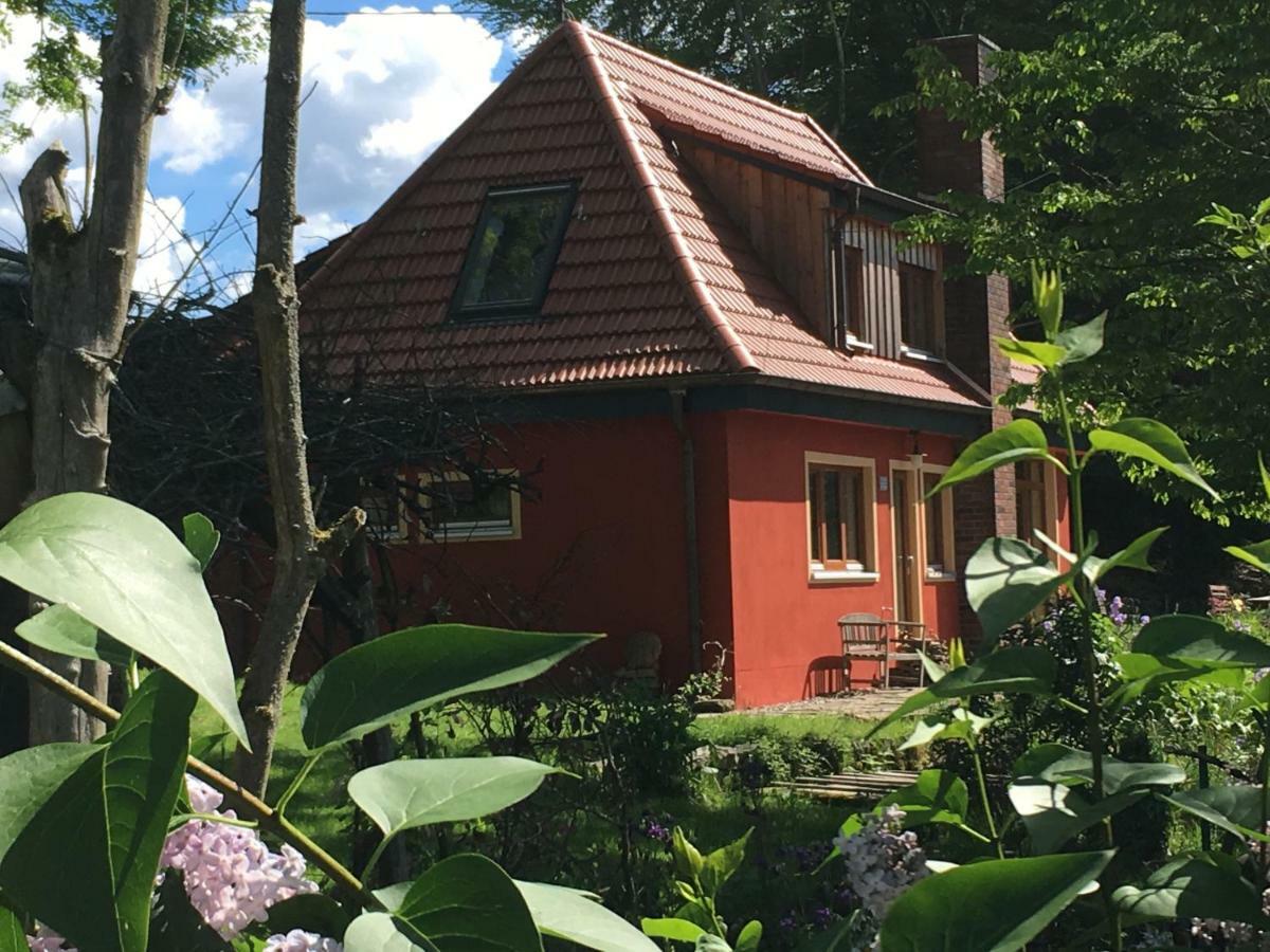Kleine Villa Im Wilden Garten Γκούμερσμπαχ Εξωτερικό φωτογραφία