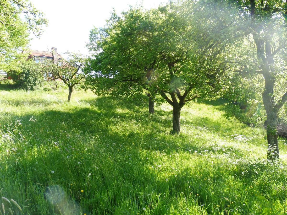Kleine Villa Im Wilden Garten Γκούμερσμπαχ Εξωτερικό φωτογραφία