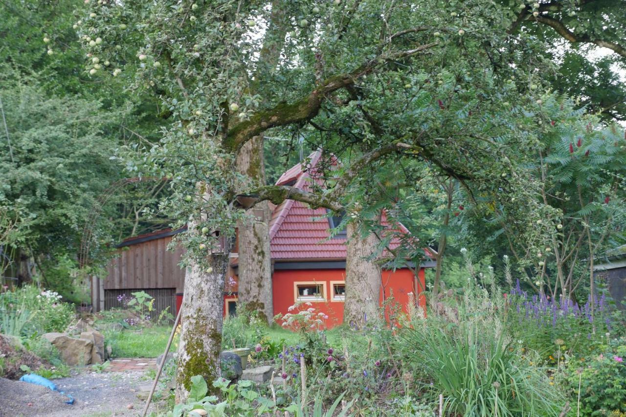 Kleine Villa Im Wilden Garten Γκούμερσμπαχ Εξωτερικό φωτογραφία